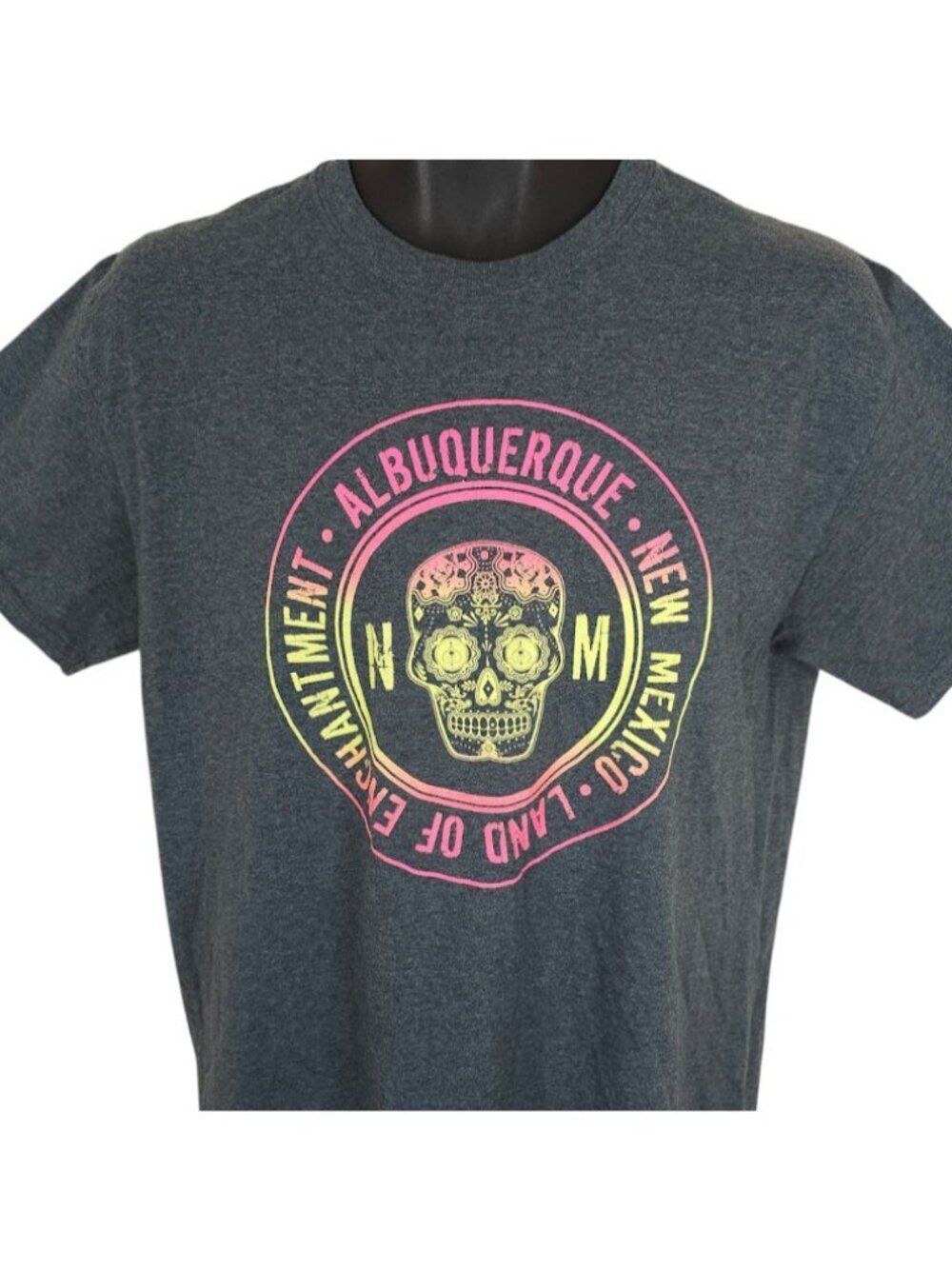 Albuquerque New Mexico T Shirt Mens Size Medium Gray Sugar Skull Travel Tee